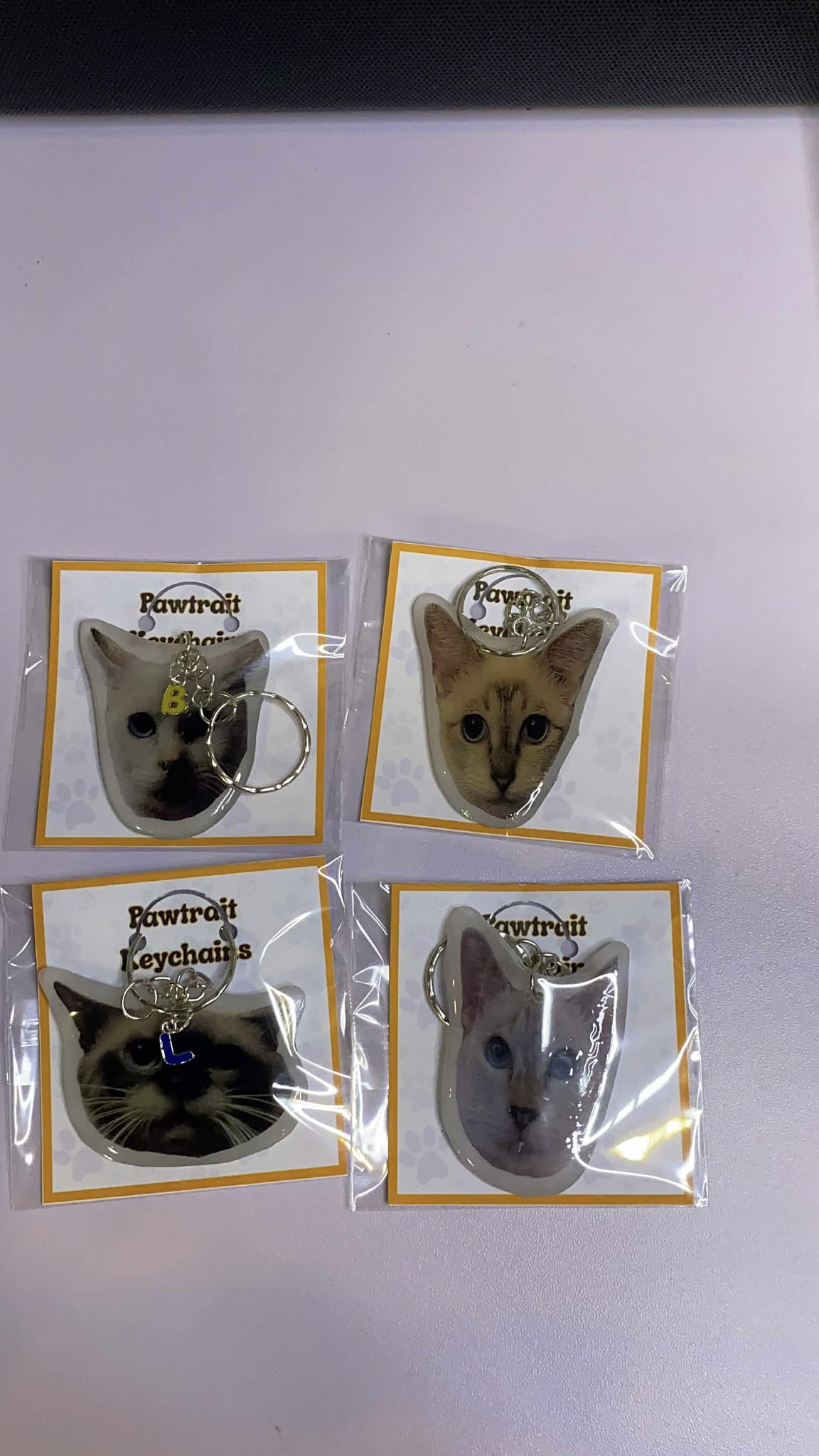 Pawtrait Keychain for Hoomans 🐶 SEND US A MESSAGE FIRST BEFORE PLACING YOUR ORDER - facebook.com/artsandwords.studio
