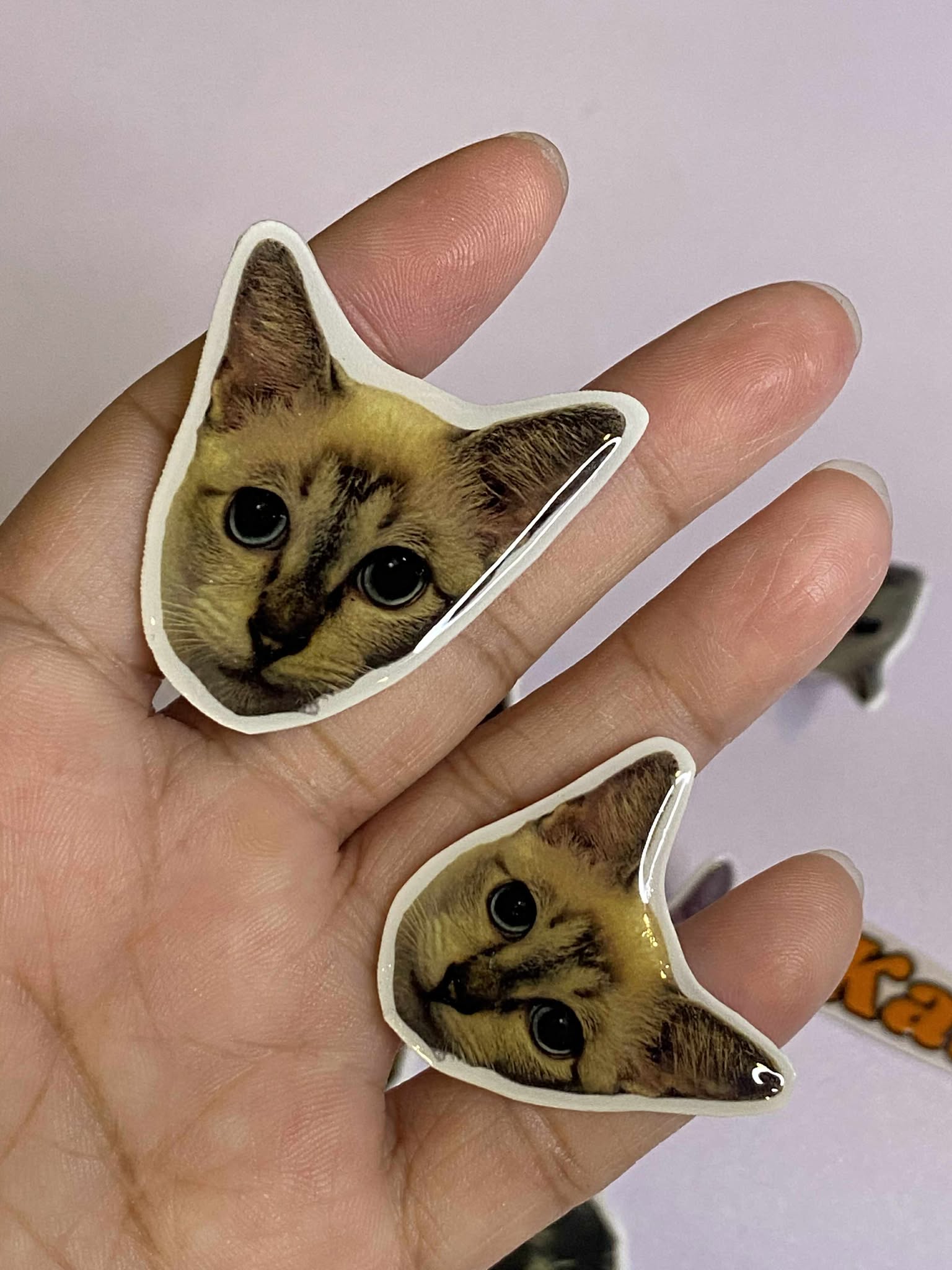 Pawtrait Pins for Hoomans 🐶 SEND US A MESSAGE FIRST BEFORE PLACING YOUR ORDER - facebook.com/artsandwords.studio