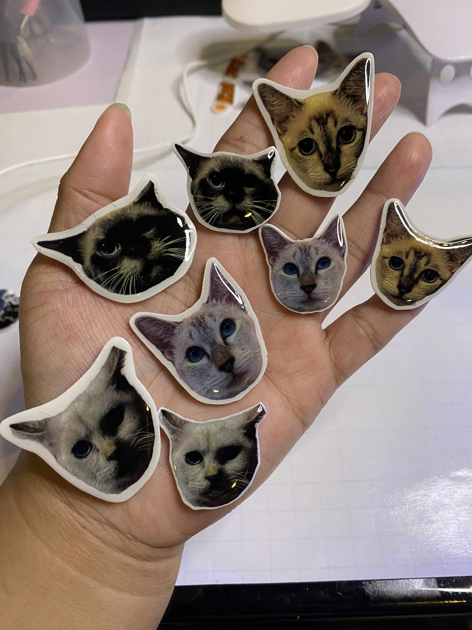 Pawtrait Pins for Hoomans 🐶 SEND US A MESSAGE FIRST BEFORE PLACING YOUR ORDER - facebook.com/artsandwords.studio